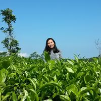 Fotos de Ade Damayanti