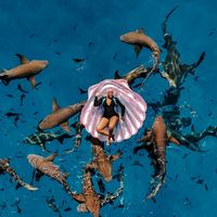 Catia Dombaxe's Photo