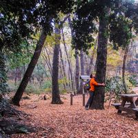 Lincoln Hugo Smith Apolonio's Photo