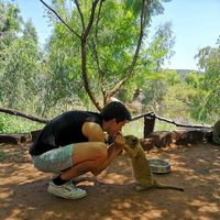 Felix Schonarth的照片