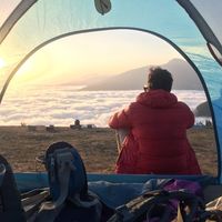 Mohsen Sajadi的照片