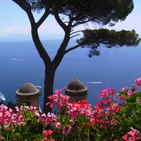 Tina  Fortress's Photo