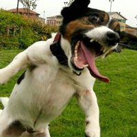 Fotos de Bitxou Bixarracu