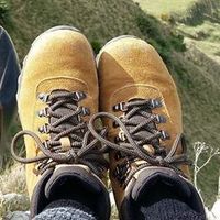 Hailey Allison的照片