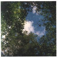 Pierre Nadie's Photo