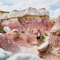 Fotos von Amanda Figliola