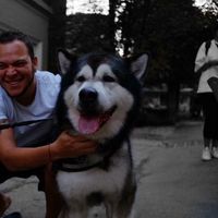 Freddy Ramos的照片