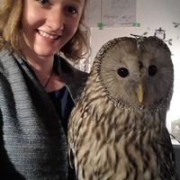 Florence Schreyer's Photo