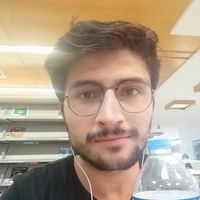 Furkan Uruç's Photo