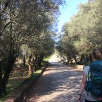 Ellinor Krämer's Photo