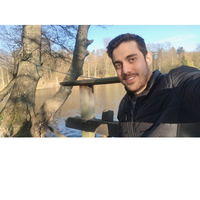 Amirmohamad Negahbani的照片