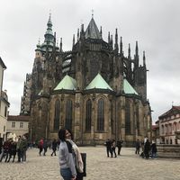 Rabia Şenkuzu's Photo