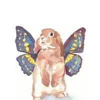 Andra-Maria Franciuc的照片