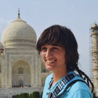 Jacarandá Lechiguero的照片