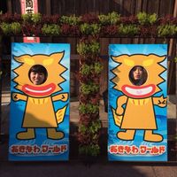 AKINO TOYOSATO的照片