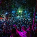 Massive Jungle Party's picture