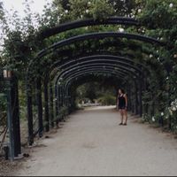 Rachel Timmins的照片