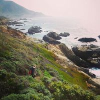 Tiffanie Feuillant's Photo