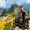Emerson Giraldo's Photo