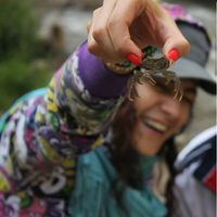 Fotos de Kiana Kianoush