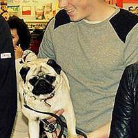 Aleksander Kopyt的照片