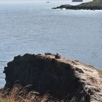 Gabriela Lulic's Photo