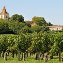 Let's go wine tasting!'s picture