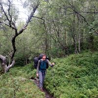 Andres Werth's Photo