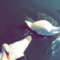 Fotos von Bushra Ben