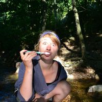 Photos de Âne Clair Jcqrt