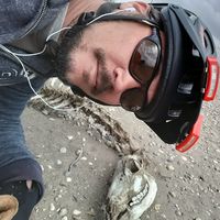 Adrian Stansifer的照片