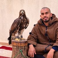 Labi DE ✈️✈️的照片