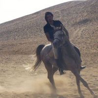 M. Wagdy Zayed's Photo