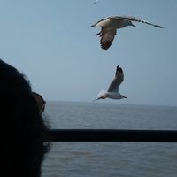 Maira Mansuri的照片