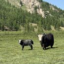 Terelj National Park trip's picture
