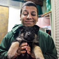 Abdelrahman ibrahim的照片