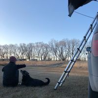 Andréanne De Roy的照片