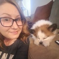 Sophia Cosgrove的照片