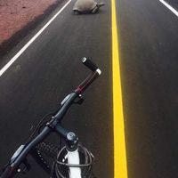 Fotos de oswaldo aguilera