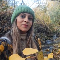 Farzaneh Yazdanpanah的照片
