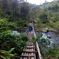 Photos de Laura Camelo