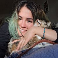 sahel amini的照片