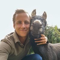 Henry Bataille的照片