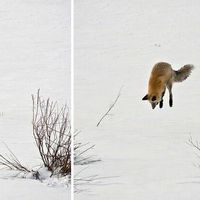 Aventure Océanne's Photo