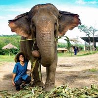 Fotos von Marisol Sanchez