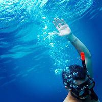 Tony Dufourg's Photo