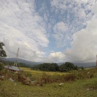 Geetika Tyagi's Photo