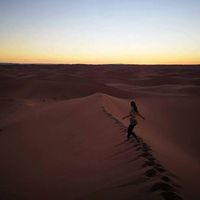 Sabrina Nefzi's Photo