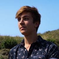 Pelle van Dam的照片