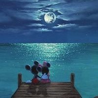 Assem Nofal的照片